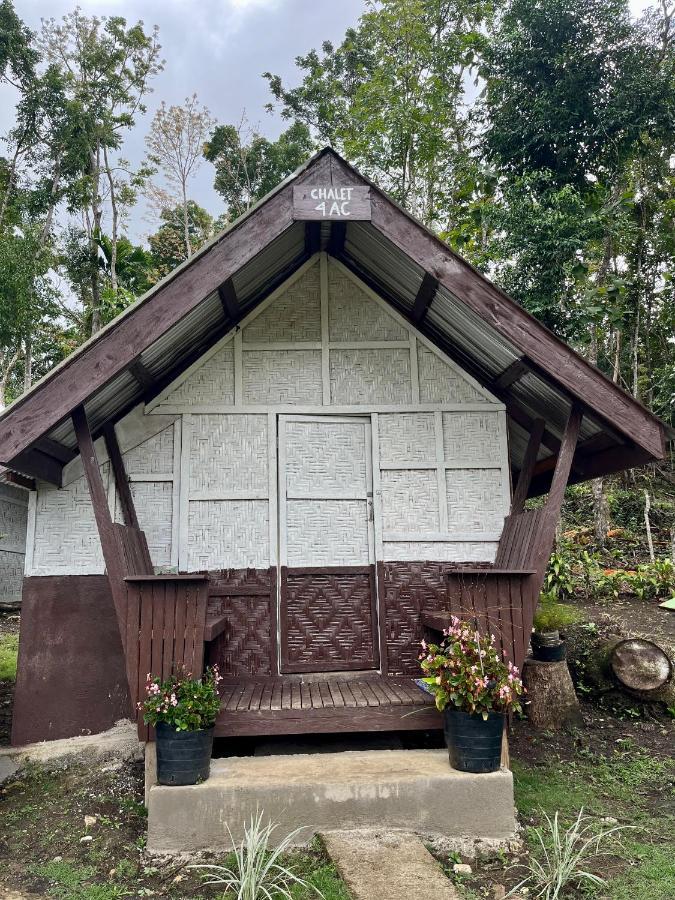 Roca'S Homestay Backpackers Chalet Batuan Exteriér fotografie